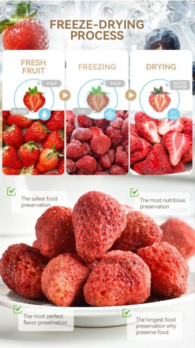 Freeze dryer - Image